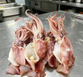 Sea Hare Squid – Plump, Cleaned & Ready to Cook